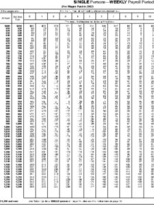 wave accounting reports