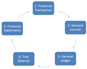 Financial Forecasting Vs Financial Modeling