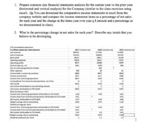 Common Size Financial Statement