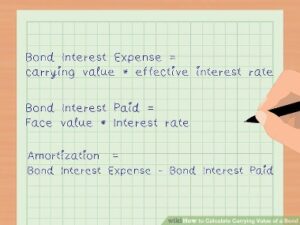 Statement Of Partnership Income Instructions For Recipient