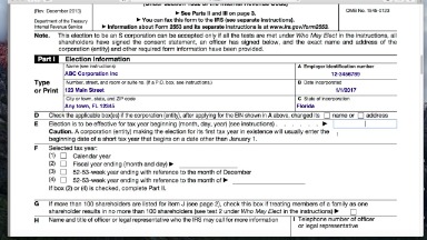 How To File Irs Form 8832 | KelleysBookkeeping