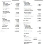How To Prepare And Analyze A Balance Sheet +examples