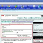 Financial Forecasting Vs Financial Modeling